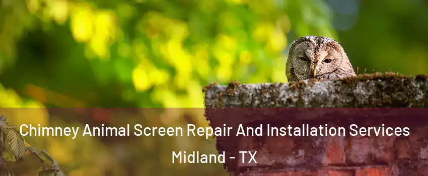  Chimney Animal Screen Repair And Installation Services Midland - TX