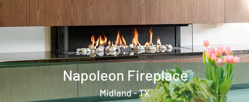  Napoleon Fireplace Midland - TX